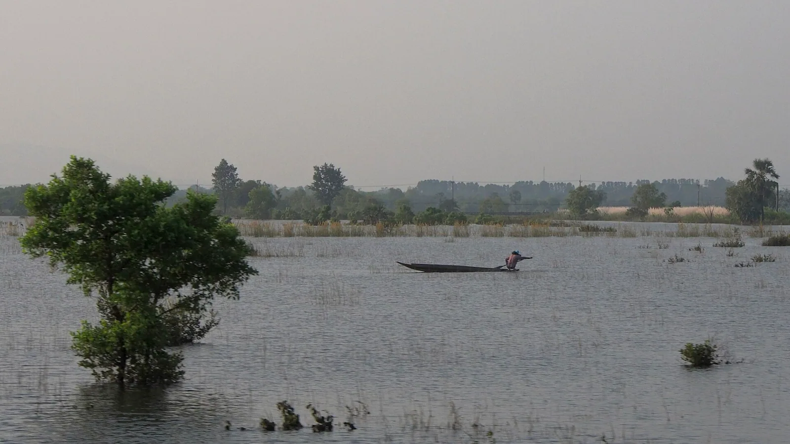 A person in a small, dark boat navigates a wide, shallowly flooded landscape with a partially submerged tree on the left and distant trees under a hazy sky in Chachoengsao province.