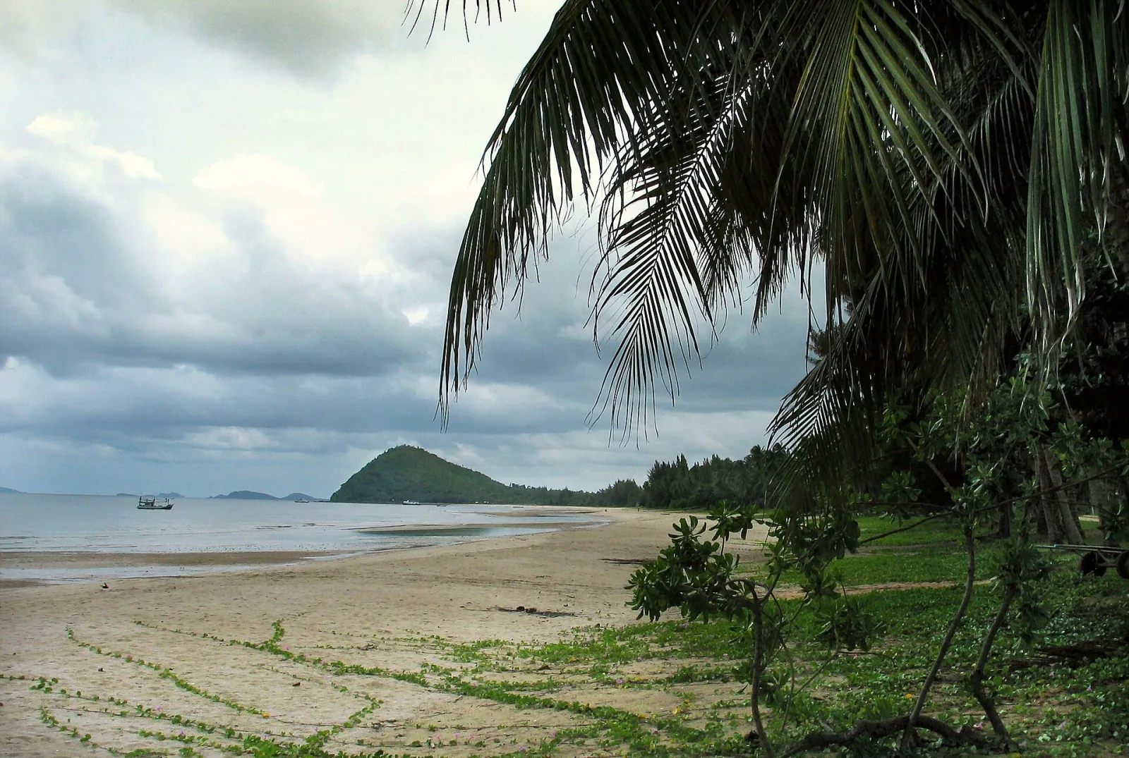 A wide, sandy beach with green plants and palm fronds in the foreground, leading to calm ocean waters with a small boat and a distant green island under an overcast sky.