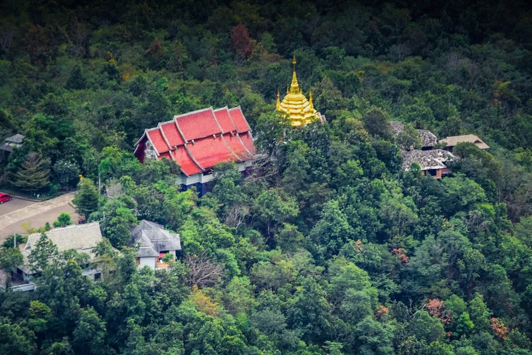 Aerial view of a red-roofed temple building and a golden chedi surrounded by dense green forest in Lampang, Thailand.