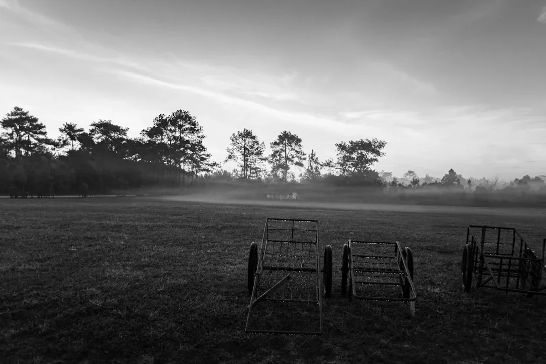 Black and white photo of metal carts in a foggy grassy field with pine trees in the background at Phu Kradueng, Loei province.