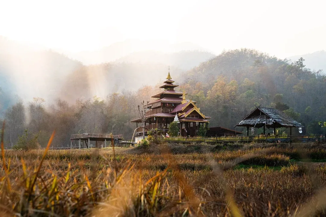 A multi-tiered wooden temple with a golden spire stands in a field of tall grass, backed by misty, forested mountains in Pai, Mae Hong Son province, Thailand.