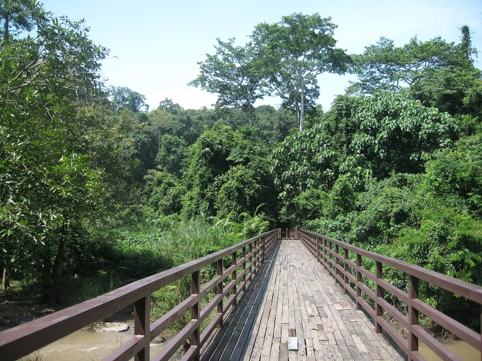 A wooden bridge with brown railings crosses a muddy river, flanked by dense green tropical jungle under a clear blue sky.