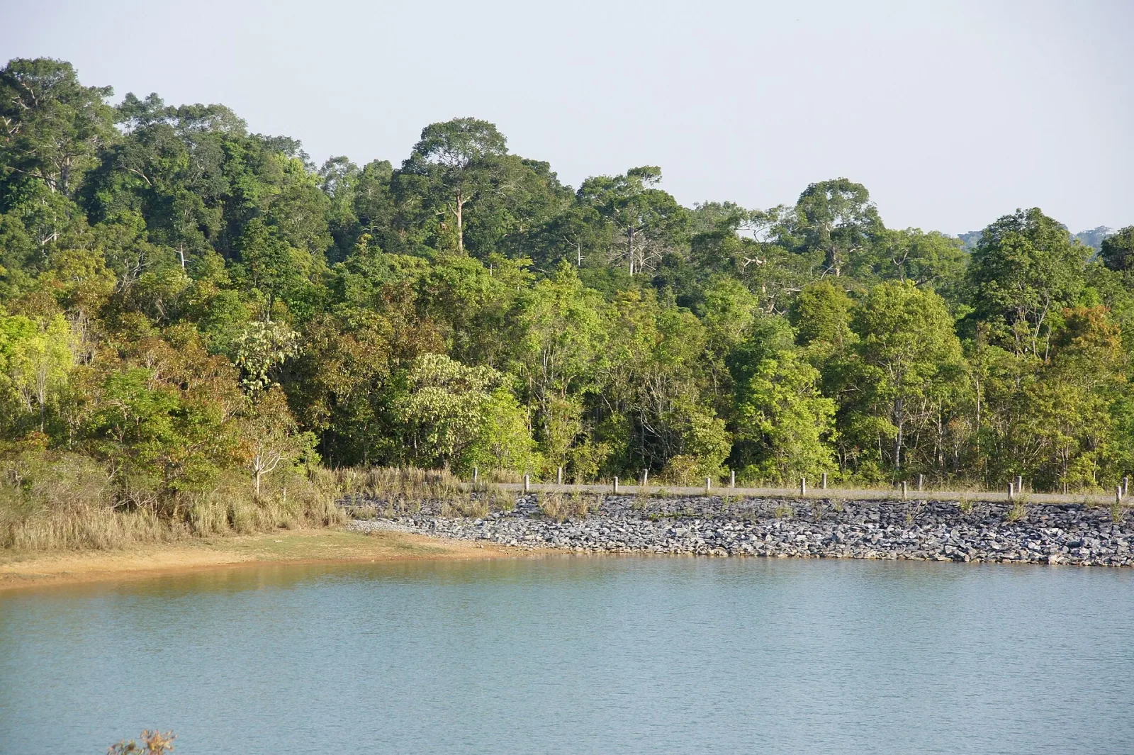 A tranquil reservoir with a rocky bank and dense green forest under a bright sky in Khao Yai National Park, Nakhon Nayok.