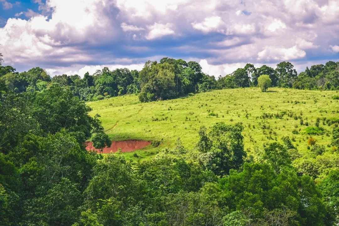 Lush green hillside and dense forest under a cloudy sky in Khao Yai National Park, Nakhon Ratchasima.