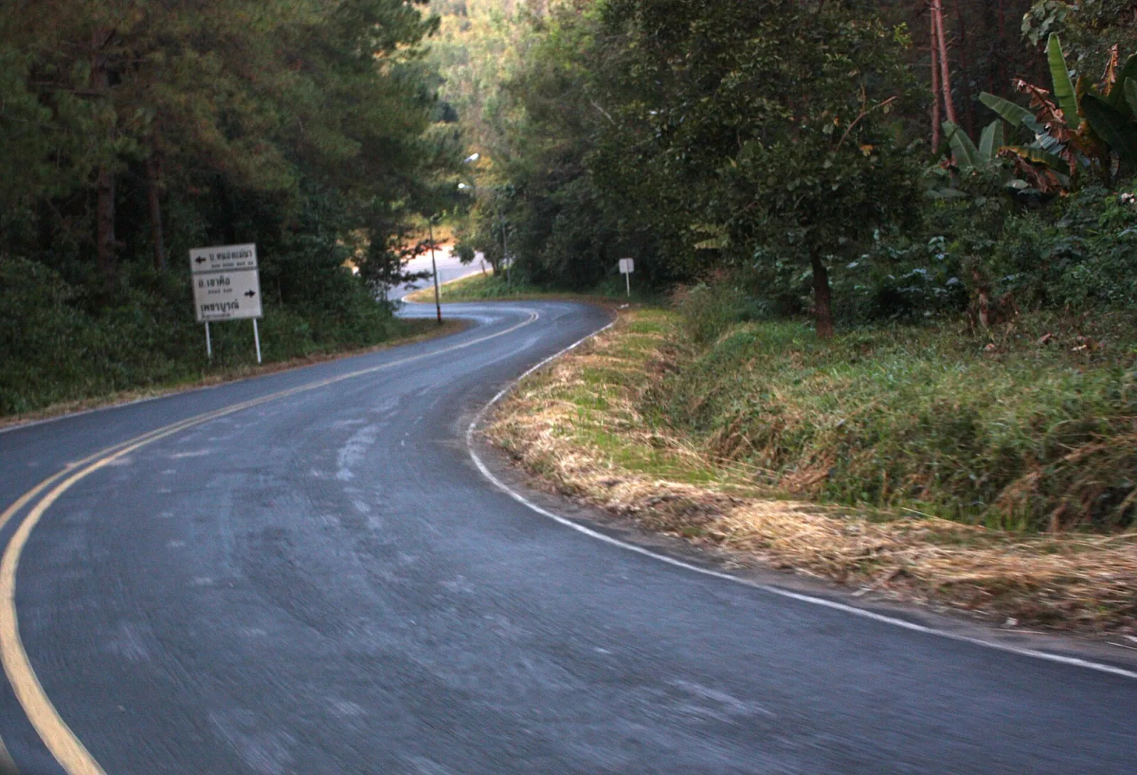 A winding mountain road with double yellow lines curves through dense green trees, with a white sign on the left pointing towards Khao Kho and Phetchabun.