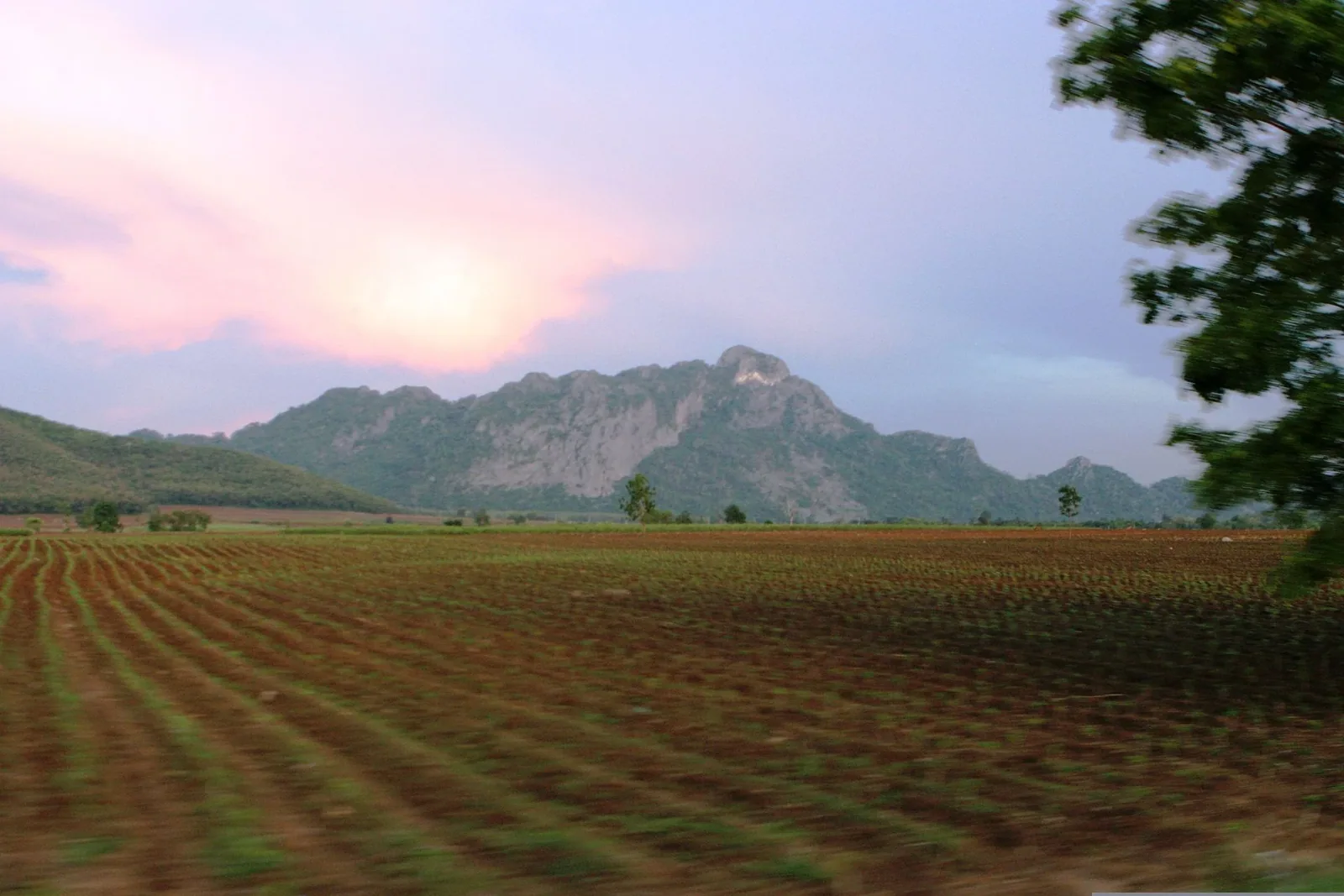 A wide landscape view of cultivated fields with rows of crops leading to a distant, rugged mountain range under a soft, pastel-colored sky.