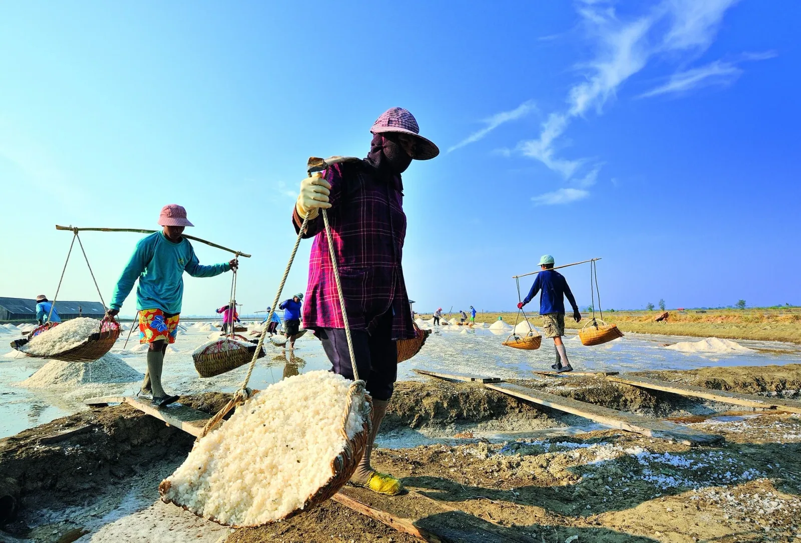 Workers in a salt field in Samut Sakhon, Thailand, carrying baskets filled with harvested salt on shoulder poles under a clear blue sky.