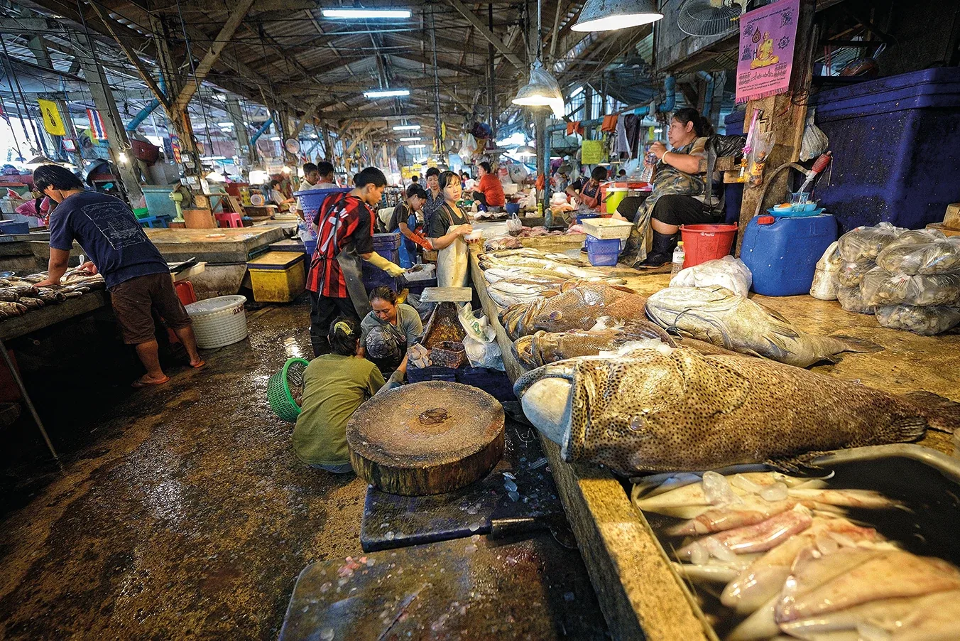 A bustling indoor fish market in Tha Chalom, Samut Sakhon, Thailand, with vendors and customers surrounded by large displays of fresh fish and seafood on tables and the wet floor.