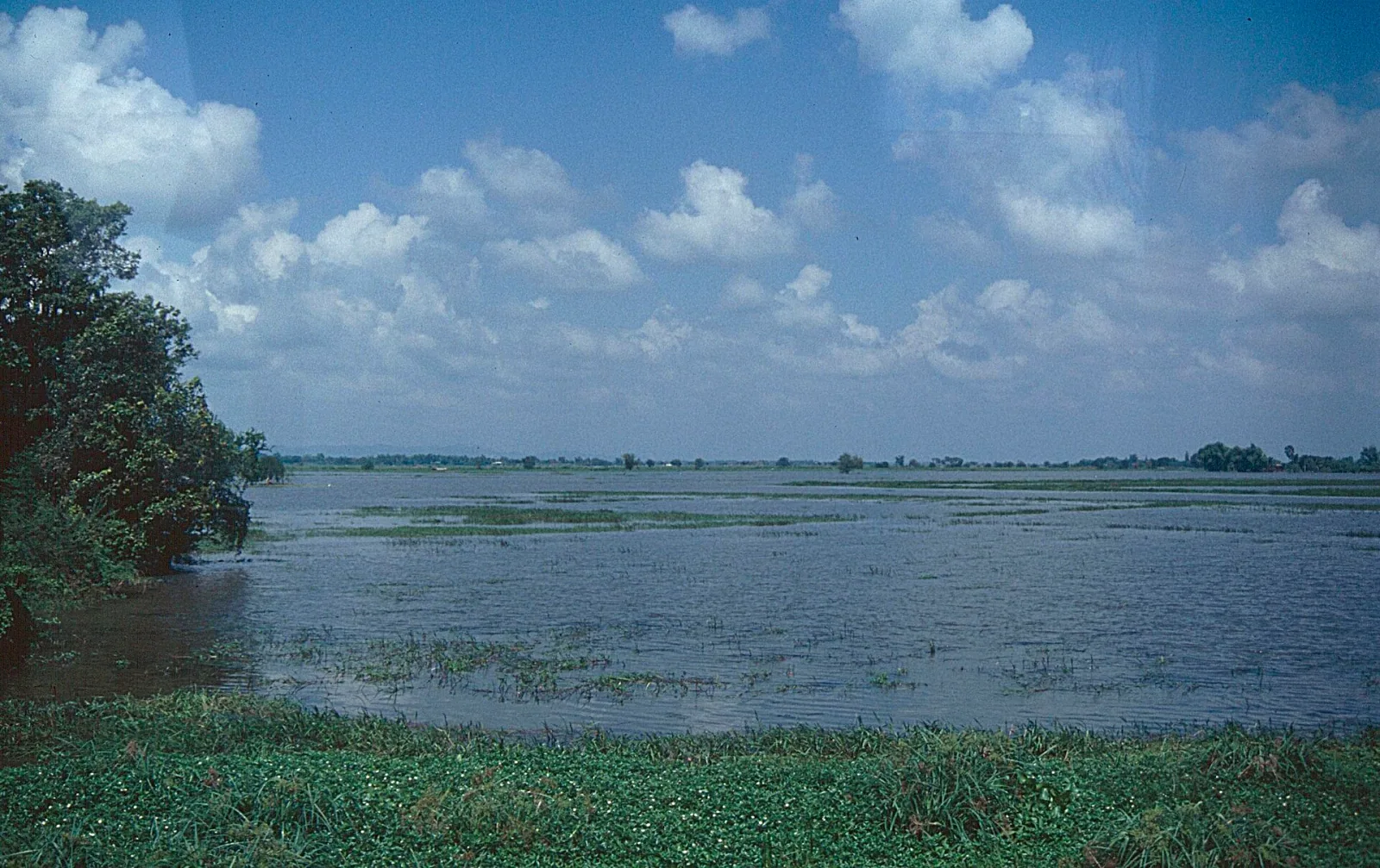 A wide view of a flooded plain with green vegetation in the foreground and scattered trees on the distant horizon under a blue sky with white clouds.