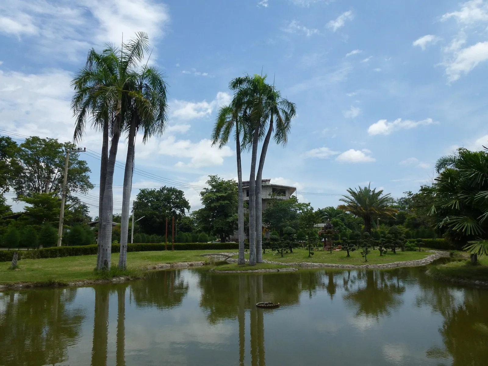 A pond reflects tall palm trees and green foliage under a blue sky, with a building partially visible in the background.