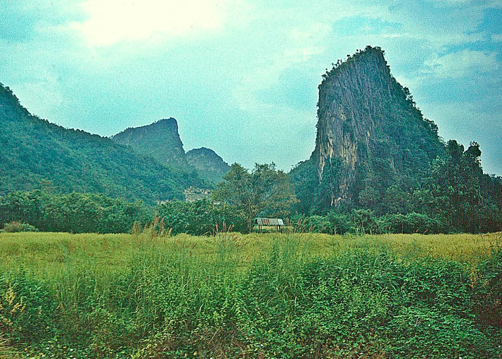 A green field with a small hut, backed by steep, tree-covered limestone mountains under a light blue sky.