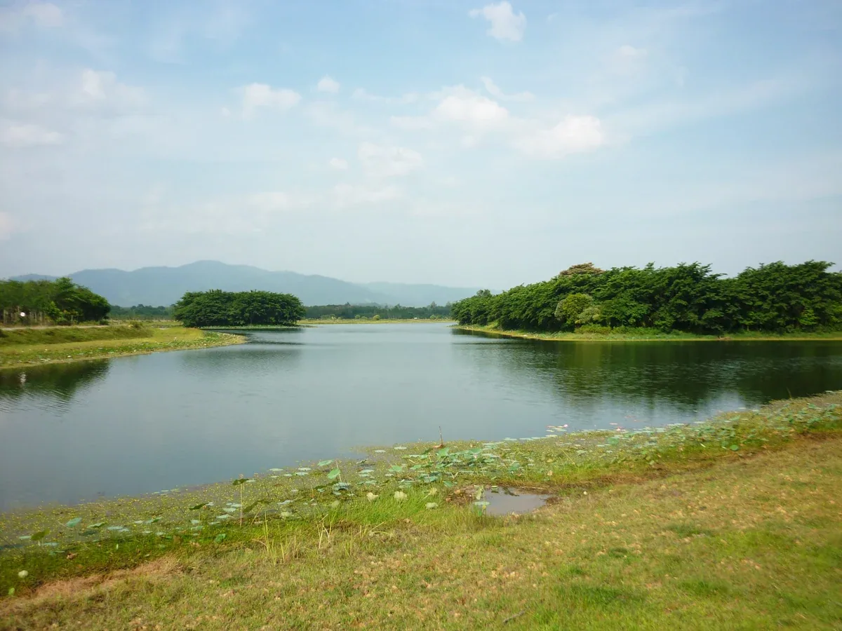 A serene lake with green grassy banks and lily pads, surrounded by dense green trees and distant mountains under a blue sky with scattered clouds.