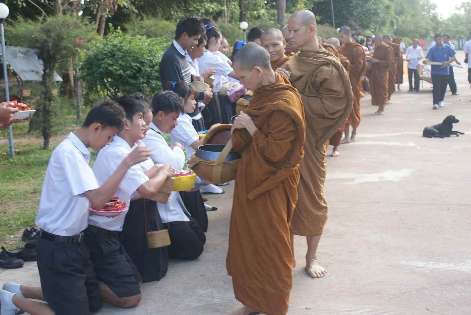 Thai students in white shirts and dark shorts kneel on a paved path, offering food and items to a line of barefoot Buddhist monks in saffron robes during an alms-giving ceremony.
